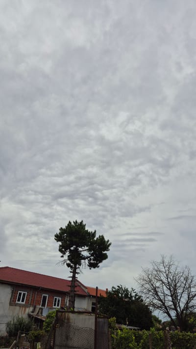 The image depicts a cloudy sky over a residential area in Doirentsi, Bulgaria. In the foreground, a section of a building with a red tiled roof is visible, featuring white-framed windows. A tall, dark green conifer tree stands to the right of the building, its branches reaching upwards. Further to the right, a bare, leafless deciduous tree with intricate branches is prominent against the sky. The ground below the trees is covered with vegetation, including what appears to be a vineyard with green leaves. A wire mesh fence is also visible in the foreground. The sky is filled with textured grey clouds, suggesting an overcast day. There are no people or animals present in the frame.