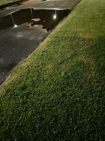 The image shows a section of a grassy area adjacent to a paved surface, likely a road or sidewalk, with a puddle of water reflecting a bright light. The scene appears to be outdoors at night, illuminated by artificial light. The grass is green with some areas of browning, suggesting it is either late summer or early autumn, or perhaps affected by dry conditions. There are small, light-colored flowers or seed heads scattered throughout the grass. The puddle on the paved surface is dark and reflective, showing a distorted reflection of at least one pole with a light source at the top. The paved surface itself appears wet and somewhat uneven, with some lighter patches that could be stains or wear. The overall environment suggests an urban or suburban setting, possibly a park, roadside, or public walkway. The location in Pabradė, Lithuania, indicates this is a scene from that specific geographical area.
