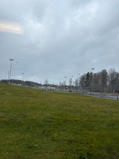 The image depicts an outdoor sports field in Jönköping, Sweden, under overcast skies. A green grass field occupies most of the frame, with soccer goals visible in the distance. Lighting poles are spaced along the field's perimeter. A wire fence separates the field from a wooded area. Several birds are visible in the sky. No people are visible in the image.