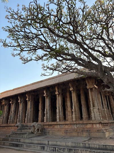 The image shows a low-angle view of a temple structure, possibly located in Kamalapura, India, judging by the architectural style. A large tree with branches and leaves partially obscures the sky. The temple’s architectural elements consist of numerous columns and detailed carvings. The materials appear to be stone or a similar masonry material. There are no people visible in the frame. The sky is clear and light blue.