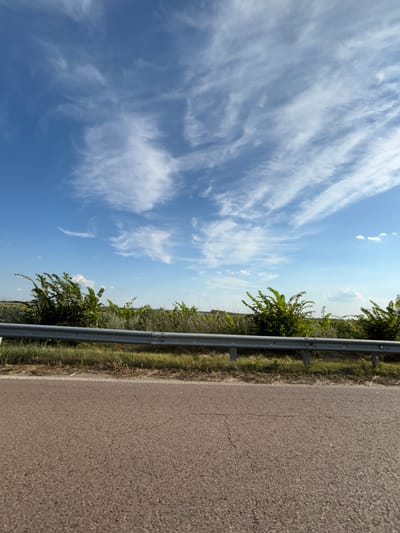 The image shows a roadside scene on a sunny day in Studenyky, Ukraine. The foreground features a section of asphalt road with a white dashed line on the right edge. A metal guardrail runs horizontally across the middle of the image, separating the road from a vegetated area. This area is populated with green bushes and tall grasses. In the background, a field extends towards the horizon. The sky above is a clear blue, adorned with wispy white clouds.