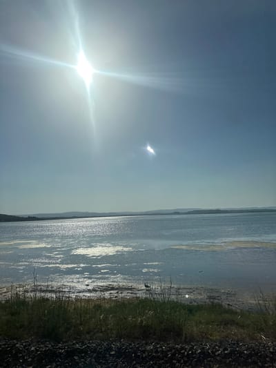 The image depicts a landscape scene, likely a body of water such as a lake or sea, viewed from the shore. The sun is a prominent subject, creating a bright lens flare that dominates the left side of the frame and illuminates the water with a shimmering effect. The sun appears high in the sky, suggesting it is daytime, likely mid-morning or afternoon, given the strong sunlight and clear sky.
The water stretches out towards a distant horizon, where landmasses, possibly hills or mountains, are visible as faint silhouettes against the sky. The right side of the image shows the shoreline, characterized by dry grass and dark, rocky ground, suggesting a natural, undeveloped area. A few small objects, possibly birds or debris, are present on the water and near the shore.
The overall mood is one of natural beauty and tranquility, amplified by the bright sunlight and expansive water. The orientation of the image is vertical, which may be a result of how it was captured. There is no visible text in the image. The location context provided places this scene in Bages, France, hinting at a coastal or lakeside environment in that region.