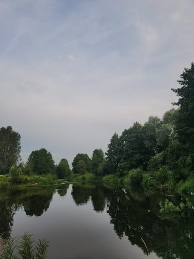 The image depicts a tranquil river scene with lush green trees lining the banks. The sky is overcast with soft, diffused light, creating a serene atmosphere. The river's surface is calm, reflecting the trees and the sky like a mirror. On the left bank, a variety of trees, including birch and deciduous varieties, stand tall amidst dense greenery. The right bank is dominated by a thick expanse of trees, with some taller specimens reaching towards the sky. The water appears dark and deep, with subtle ripples disturbing the otherwise perfect reflection. Small aquatic plants and a single fallen branch are visible in the water. The overall impression is one of natural beauty and peaceful seclusion. The location is identified as Kulaki, Russia.