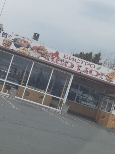 A bistro named "RED LION" (БИСТРО RED LION) is depicted under an overcast sky in Gorno Aleksandrovo, Bulgaria. The building features large, clear glass windows framed in white, above a lower section paneled with light brown wood. Two grey, cylindrical concrete planters or waste receptacles stand directly outside the building, one on each side of the central window section.
The prominent sign above the windows displays images of food, including a large hamburger, a grill with skewers, a salad, and multiple cuts of meat. The sign also features a graphic of a red, reclining lion. Payment method logos for VISA, Mastercard, and a parking symbol are visible on the far left of the sign.
The foreground consists of a grey asphalt surface, likely a parking area, with faint white painted lines. No individuals or vehicles are distinctly visible, and the reflections in the windows obscure interior details, suggesting the bistro may be closed or unoccupied at the time of the photograph. Sparse, bare tree branches and some evergreen foliage are visible above and behind the bistro, against the light grey sky.