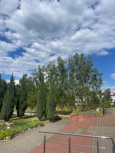 The image depicts an outdoor scene with a blue sky filled with white, puffy clouds. In the foreground, there is a paved walkway made of interlocking bricks and a red brick staircase with metal railings. To the left of the walkway, a landscaped garden area features various green plants, some flowers, and several tall, slender evergreen trees. Beyond the garden, a row of deciduous trees, including birch trees, forms a backdrop. In the distance, white buildings with red roofs are visible among the trees. The overall setting appears to be a public space, possibly a park or the grounds of an institution, located in the vicinity of Бабовіцкі сельскі Савет, Belarus. There are no people visible in the image.