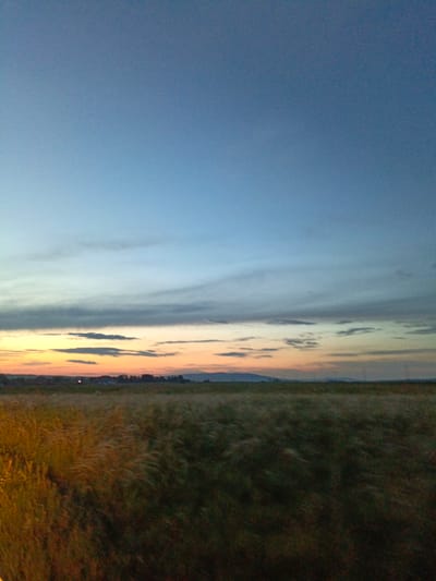 The image depicts a landscape scene at dusk, featuring a vast expanse of grassland in the foreground under a gradient sky transitioning from a pale orange near the horizon to a deep blue overhead. Scattered, wispy clouds are visible in the middle ground, streaking horizontally across the sky. The horizon line is marked by a dark silhouette of trees and distant hills. The lighting suggests the sun has recently set or is about to rise, casting a soft, diffused light over the environment. There are no visible people, animals, or man-made structures in the immediate vicinity. The location is identified as Novoznamenskaya 1-Ya, Russia.
