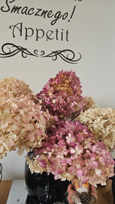 A close-up, eye-level shot captures dried hydrangea blooms in shades of pink and cream arranged in a glossy black vase. The vase is shaped like a human head with stylized facial features. The blooms are full and textured, with some petals showing a golden-brown hue, indicating they are dried. To the right of the vase, a small, fabric figurine wearing an orange and black plaid shirt and a fuzzy white vest is holding a pinecone. In the background, a white wall serves as a backdrop, with black cursive text at the top that reads "Smacznego! Appetit" and an ornate, black scroll-like design below it. The scene is indoors, with a suggestion of a wooden surface at the bottom. The overall impression is one of rustic elegance, likely an indoor decorative display. There is no information in the image to suggest a location in Slengiai, Lithuania, or any specific city.