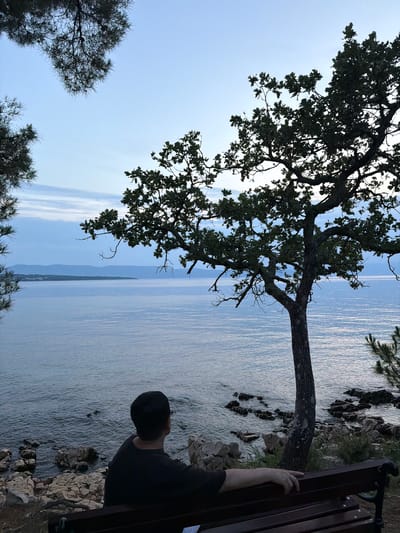 A person wearing a dark t-shirt sits on a wooden bench facing a body of water. The person's back is to the camera, and their head is turned to the right, looking out at the view. The bench is positioned on a rocky shoreline, with trees framing the scene. One large tree with dark leaves is in the foreground on the right, and the branches of other trees are visible in the upper left corner. The water is calm, reflecting the light blue sky, and a distant coastline with hills is visible on the horizon. The overall impression is one of peaceful contemplation. The location is Sveti Vid-Miholjice, Croatia.