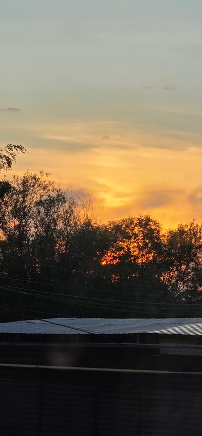 The image depicts a sunset scene in Lensk, Russia, with a vibrant sky transitioning from pale blue to fiery orange and yellow hues. Silhouetted trees with dark, dense foliage occupy the middle ground, with the setting sun's rays piercing through their branches, creating a dappled glow of orange light. Delicate, bare branches of other trees are visible in the foreground, adding depth to the composition. In the far right of the image, a corrugated metal structure, likely a building or fence, is visible. The overall mood is serene and picturesque, indicative of the end of the day. The lighting suggests it is either sunrise or sunset. No people are visible in the image, and there is no visible text.