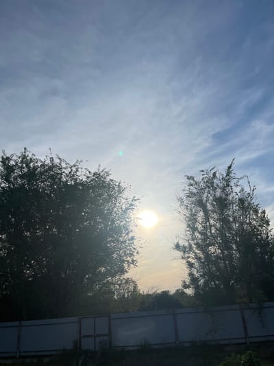 The image depicts a view looking up through trees towards the sky. The sun is visible, partially obscured by the trees. The sky is light blue with wispy clouds. A fence is visible on the right side of the image. The image is taken in Verkh-Katunskoye, Russia.