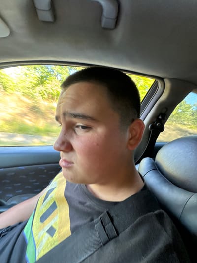 The image shows a young person in the passenger seat of a car. The person is looking to the left out of the window, with their face in profile. They have short dark hair and are wearing a dark t-shirt with a colorful, geometric pattern on the front. The car's interior is visible, including a black leather seat and the headliner. The view outside the window shows a blurry green and yellow landscape, suggesting the car is in motion. The scene is outdoors, likely on a road surrounded by vegetation. There is no visible indication of the city of Panchevo, Bulgaria, within the image content.
