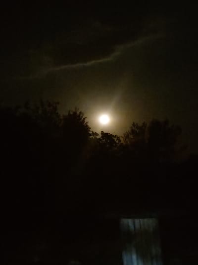 This is a nighttime photograph taken in Kochmar, Bulgaria. The scene is dominated by darkness, with a bright, luminous full moon appearing in the upper left quadrant of the image. The moon is partially obscured by the silhouette of a tree with dense foliage, creating a stark contrast between the light of the moon and the dark branches. To the left of the moon, there is a wispy cloud formation, also illuminated by the moonlight, adding a dramatic effect to the sky. On the far right of the image, a dark structure with a rectangular opening, possibly a window, is faintly visible, hinting at a man-made element within the natural setting. The overall atmosphere is serene and somewhat mysterious, evoking a sense of stillness and the quiet beauty of a moonlit night in a rural or semi-rural environment. The time of day is clearly night, indicated by the darkness and the presence of the moon. No people or specific activities are depicted, focusing solely on the natural elements and the atmospheric lighting. There is no visible text in the image.