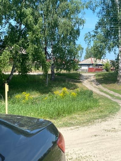 The image captures a sunny daytime scene in a rural or semi-rural residential area, identified as the city of Troitskoye, Russia.

In the foreground, the rear section of a dark-colored vehicle, likely black or dark grey, is visible occupying the lower left portion of the frame. Its trunk lid, featuring a subtle integrated spoiler or design line, and a partial view of its reddish-orange right taillight are apparent. To the left of the vehicle, a thin, vertical yellow metal post rises from the ground.

The mid-ground is dominated by a light-colored dirt road, showing visible tire tracks, which curves gently towards the right and then uphill into the background. The road is flanked by dense green grass and various weeds. Clusters of bright yellow wildflowers are prominent on the left side of the path, slightly behind the yellow post.

Several birch trees, characterized by their white bark with black markings and abundant green foliage, are positioned throughout the scene, casting shadows across the road and grassy areas. Overhead, thin power lines are discernible against a clear, bright blue sky, particularly in the upper right quadrant.

In the background, a cluster of residential structures is visible. The most prominent building features white walls, contrasting dark red window trim, and a light grey corrugated roof with a distinct red ridge cap and trim. A smaller, red-painted outbuilding or shed is situated to the left of this main house, partially obscured by fencing. Additional residential structures are partially visible behind and to the right of the central house. No individuals are depicted within the scene.