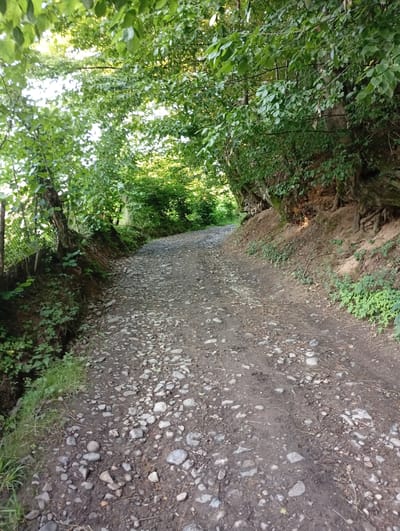 The image depicts a dirt and gravel path winding through a forested area. The path is uneven, covered with numerous small to medium-sized stones and dirt, suggesting it might be a rural road or a hiking trail. On the left side of the path, there's a steep embankment with a chain-link fence and some vegetation, including small plants and grass. Trees with lush green foliage line both sides of the path, with branches hanging low over the road, creating a canopy that filters sunlight. On the right side, the embankment is steeper, with exposed soil, tree roots, and more greenery.
The scene appears to be set during the daytime, likely late afternoon or early evening, given the warm, dappled sunlight filtering through the leaves. The weather seems pleasant, conducive to outdoor activity. The overall impression is one of a natural, somewhat wild, and rustic setting. There are no people or explicit objects of interest other than the path itself and the surrounding natural environment. No text is visible in the image. The location context provided is Veliatyno, Ukraine, which is consistent with a rural, forested landscape.