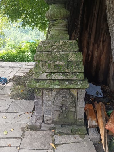 The image depicts an ancient stone structure, possibly a stupa or shrine, covered in moss. The structure is tiered, with carved details at its base. It is situated outdoors next to a large tree with a rough, textured bark. The surrounding ground is paved with stone slabs, and fallen leaves are scattered on the ground. In the background, lush green foliage and trees are visible, suggesting a natural setting. To the right of the stone structure, several pieces of chopped wood and a gray plastic bag are placed on the ground. A pair of blue and black athletic shoes rests on the stone paving to the left of the structure. The image is taken in natural light, casting shadows that highlight the textures of the stone and wood. The precise location in the city of Gojra, India, cannot be determined from the visual information provided in the image.