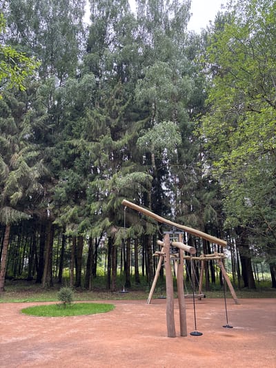 A wide-angle, outdoor, eye-level photograph captures a rustic playground structure set within a dense forest. The playground, constructed from natural wood, features a swing set with multiple swings, some with rubber seats and others with rope. The ground surrounding the playground is covered in reddish-brown sand. To the left of the playground, a small, circular patch of vibrant green grass with a young evergreen sapling is situated in the center. The background is dominated by tall, mature coniferous trees, creating a sense of seclusion and immersion in nature. The sky is overcast, casting a diffused light on the scene. The image is devoid of human presence. This scene is located in Pavlovskaya Sloboda, Russia.