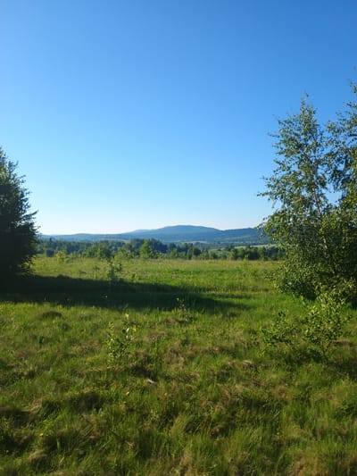 The image depicts a serene, expansive natural landscape under a clear blue sky. The foreground is dominated by a lush, green meadow with tall, wild grasses interspersed with small wildflowers and scattered saplings. The meadow slopes gently towards the middle ground, where a dense, verdant forest stretches across the horizon. Beyond the forest, a series of rolling hills and mountains recede into the distance, their shapes softened by atmospheric haze.
To the left of the frame, a large, dark-leafed tree casts a significant shadow across the meadow. On the right, a slender birch tree with characteristic white bark and bright green foliage stands out against the backdrop. The lighting suggests it is a sunny day, likely in the morning or late afternoon, given the long shadows. The overall impression is one of tranquility and untouched natural beauty.
While the image itself does not contain any explicit markers or structures to pinpoint its exact location within Verkhnia Yablunka, Ukraine, the scene is consistent with the rural, hilly topography found in regions of Western Ukraine. The prevalence of deciduous trees, the type of meadow vegetation, and the distant mountain ranges are all characteristic of the Carpathian foothills, which Verkhnia Yablunka is situated within.