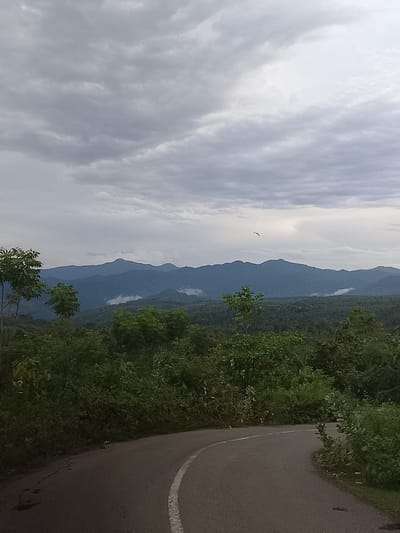 The image depicts a scenic view of a winding asphalt road curving through lush green foliage, with a backdrop of rolling mountains under a cloudy sky. In the foreground, the road is bordered by dense vegetation and trees. A white line marks the edge of the road. Beyond the immediate greenery, a vast expanse of forest stretches towards the mountains, which are shrouded in a soft, hazy atmosphere, with wisps of mist or smoke visible in the valleys. The sky is overcast with dramatic, textured clouds. A single bird is captured in flight high in the sky, silhouetted against a lighter patch of clouds. The overall impression is one of natural beauty and tranquility. The location is identified as Sarah Mane, Indonesia.