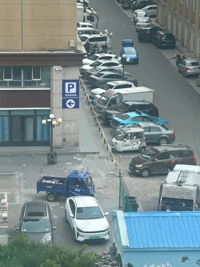 An overhead, static, full-shot image shows a street in Manzhouli, China, filled with parked vehicles and a building with windows. The street is paved with gray cobblestones and asphalt. On the left, a brown and beige building has several windows and a dark brown overhang. A blue sign with a white 'P' and Chinese characters is mounted on a pillar near the building. A decorative lamppost with multiple globes stands on the sidewalk.
The street itself is lined with parked cars and a few smaller vehicles. The vehicles include a blue three-wheeled truck with its bed filled with boxes, a white sedan, a dark gray sedan, a brown minivan, a white three-wheeled microcar with a cartoon cat sticker, a light blue sedan, several darker sedans and SUVs, a silver sedan, and a large white truck and a garbage truck further down the street. The vehicles are parked in a staggered formation.
A few objects are visible on the sidewalk including some orange traffic cones and a trash receptacle. The environment appears to be an urban setting with a mix of commercial and residential buildings, indicated by the architecture and the presence of parking. The lighting suggests it is daytime, with overcast conditions as there are no strong shadows.