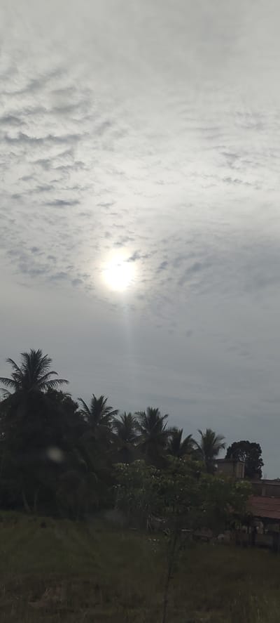 This is a vertical, low-angle, full outdoor shot of the sky and a treeline. The sky is mostly overcast with some patches of brighter white and grey clouds, and the sun is visible as a bright white disc with a light ray extending downwards. The treeline consists of several palm trees and other lush green foliage, with a building visible in the background on the right. The foreground shows a grassy area. The scene is likely in Aluekeujruen, Indonesia, given the vegetation and building style.