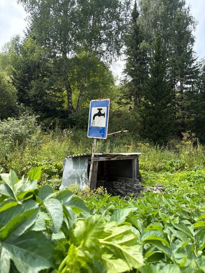 A weathered blue and white sign depicting a running faucet stands to the left of a rudimentary wooden structure with a corrugated metal roof. The structure is partially visible, showing wooden beams and stone at its base. The scene is set amidst lush green foliage, with a dense forest of trees in the background. The overall impression is one of a rustic, natural setting. The location is Osinovka, Kazakhstan.