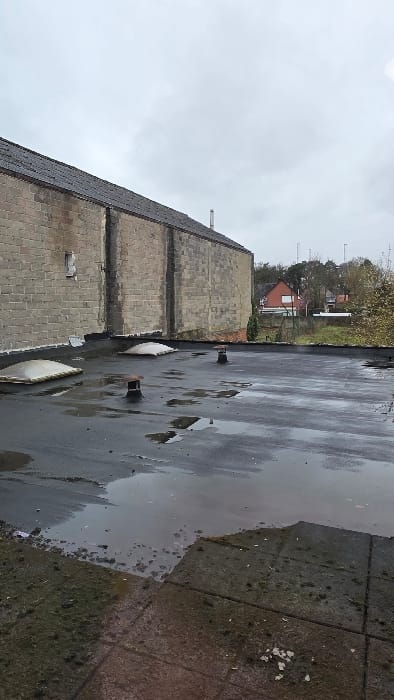 This image presents a flat rooftop and the wall of an adjacent building in Heusden, Belgium, under an overcast sky. In the foreground, worn concrete paving slabs are visible, partially covered with dirt and organic debris, leading into a large, irregular puddle of standing water. The central plane of the image is dominated by a dark, flat roof, significantly covered by numerous accumulations of rainwater. Protruding from this roof are two dome-shaped translucent skylights and one smaller, dark cylindrical roof vent. To the left, a tall, weathered light-brown brick wall rises, forming part of an adjacent building. This wall features a small, rectangular opening situated high on its surface. In the background, beyond the roofline, residential buildings with red-tiled roofs are visible, interspersed with deciduous trees displaying bare branches and distant utility poles or antennas. No individuals, specific actions, or interactions are discernible within the frame. The overall environment appears damp and utilitarian.