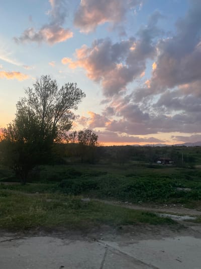 The image shows a rural scene, likely in Domlyan, Bulgaria, at dusk or dawn. The sky is partially filled with clouds, some tinged with pink and orange hues from the setting or rising sun. The lower portion of the image is dominated by vegetation, including trees and grassy areas, next to a partially concrete walkway. A few buildings can be seen in the distance near an elevation of land.