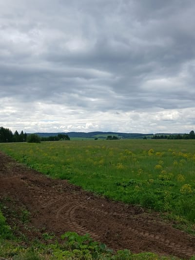 This is a photograph of a rural landscape under a cloudy sky. In the foreground, a narrow strip of dark, tilled soil with tire tracks runs diagonally from the lower left corner towards the center. Adjacent to the soil is a vibrant green field with scattered clusters of small yellow flowers. This field extends into the middle ground, where it meets a line of dark green coniferous trees and a few deciduous trees. Beyond the trees, the landscape unfolds into rolling hills covered in lush green vegetation and more distant trees, all under a dramatic, overcast sky filled with various shades of gray clouds. The overall impression is of a peaceful, natural setting, likely in the countryside. The location is identified as Ustinovo, Russia.