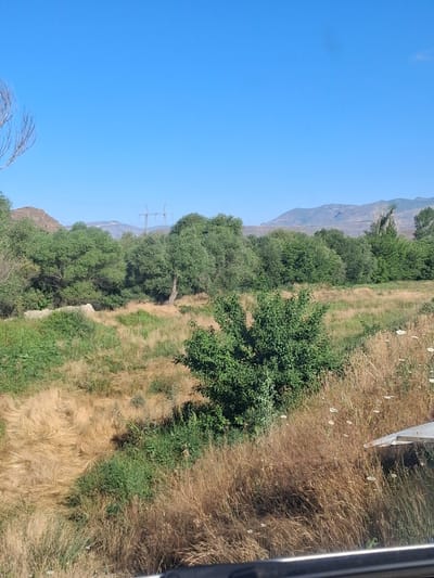 A wide-angle, slightly tilted shot captures a natural landscape under a clear blue sky. The foreground features dry, golden grasses and scattered green foliage. A darker patch of green foliage, likely a bush or small tree, is visible in the middle ground, with a larger clump of trees behind it. Further back, a line of trees with dense green canopies stretches across the frame, with a rocky hill on the left and distant, hazy mountains on the right. Power lines and towers are visible in the background. The scene appears to be an outdoor, rural setting, possibly on the outskirts of Malishka, Armenia, given the vegetation and mountainous terrain. No people or specific actions are depicted.
