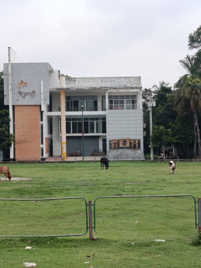 The image depicts the Jaliyanagar Community Center in Benapole, Bangladesh, on a cloudy day. The modern, multi-story building features a light gray facade with a prominent brick-colored section on the left. In front of the building, a wide, grassy field is populated by three cows, one brown and two black and white, grazing or standing. A low, metal fence runs across the foreground, separating the field from the viewer. Behind the building, lush green trees and palm trees are visible. There are no humans immediately apparent in the scene. The overall impression is one of a public space with agricultural elements.