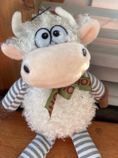 This is a close-up, slightly angled shot of a fluffy, white stuffed sheep. The sheep is lying on its side and its head is tilted upwards. It has large, round, black and white cartoonish eyes and a beige nose with a black stitch for a nostril. Its ears are a light pink on the inside and are also made of soft material. A green ribbon with red lettering is tied around its neck. The ribbon has the word "OH" visible, partially obscured.
The sheep's body is covered in white, curly, fuzzy fabric that resembles wool. Its arms and legs are covered in striped fabric, with alternating grey and white horizontal stripes. The ends of its limbs are a brown fuzzy material.
The background of the image is blurred, but appears to be a wooden surface, possibly a table or shelf. To the left, there is a vertical element with horizontal lines, suggesting a window blind or curtain. The lighting suggests it is daytime, possibly indoors. There are no people visible, and no specific activity is taking place. The overall impression is that of a decorative item or toy. The location context provided is Kiskelovo, Russia.