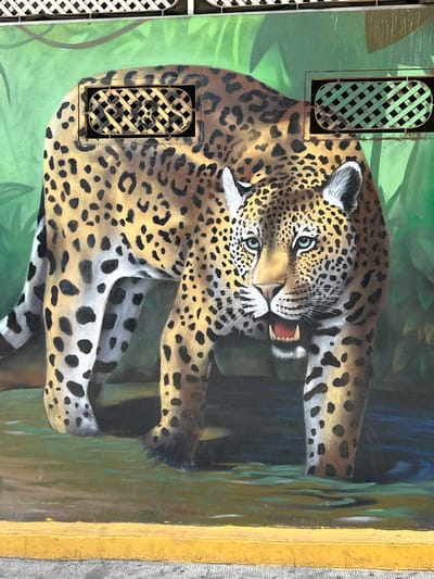 This media file captures a vibrant mural painted on a wall, depicting two spotted felines, likely jaguars given the location context of Atoyac de Álvarez, Mexico, within a lush jungle environment. The image is oriented sideways, with the mural originally being vertical.
The main subject is a large jaguar with a tan coat covered in black rosette spots. Its face is prominent, featuring striking bright green eyes, a white muzzle with extended whiskers, and an open mouth revealing sharp fangs and pink gums, indicative of a snarl or roar. Behind and slightly below the larger jaguar's head, a second, smaller jaguar face with similar green eyes is visible, suggesting either a cub or a stylized artistic element.
The background of the mural portrays a dense jungle scene with rich greens for foliage and darker shades of blue and black to create depth and shadow. Two rectangular vents with a latticed pattern are integrated into the mural; one is painted light green and is positioned above the main jaguar's shoulder, while the other, painted beige, is situated lower down near the jaguar's body. These vents appear as functional parts of the wall that the artist incorporated into the painting. A golden-yellow border runs along the right edge of the mural, possibly part of a frame or architectural detail.
The activity depicted is an intense, powerful display by the jaguars, conveying ferocity or protectiveness. The mural is brightly lit, suggesting it was photographed during the day. There is no visible text.