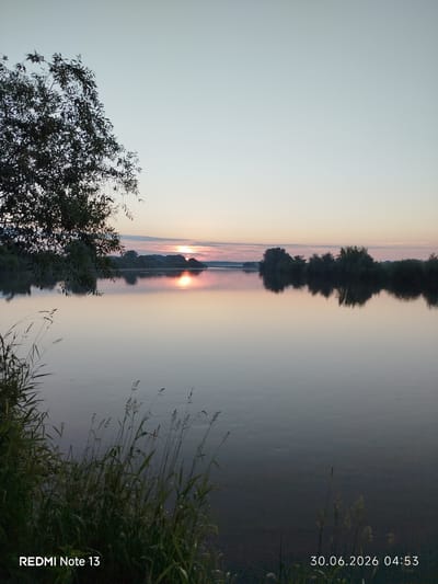 The image shows a tranquil river scene at sunrise, likely in or near Rahachow, Belarus. A large tree with dark foliage is visible on the left side, partially obscuring the pale sky. The water's surface is calm and reflects the soft hues of the sunrise, which is low on the horizon in the distance. Along the opposite bank, a line of trees and vegetation creates a dark silhouette against the brightening sky. Tall grasses and reeds grow in the foreground on the right bank, adding a touch of natural detail to the composition. The overall impression is one of a peaceful morning by the water. The timestamp "30.06.2026 04:53" and the text "REDMI Note 13" are visible in the lower portion of the image.