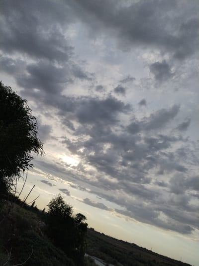 This media file depicts a landscape under a dramatic, cloudy sky. The scene is tilted, giving a sense of a sloping terrain. On the left, a dense, dark green tree with visible branches and leaves occupies a significant portion of the frame, suggesting it's in the foreground or a prominent element of the landscape. The ground below the tree appears covered in thick vegetation and foliage.

Further into the scene, more trees and vegetation are visible, silhouetted against the lighter sky. Some thin poles, possibly utility poles, are also present in the landscape. The overall setting appears to be rural or natural.

The sky is filled with a variety of clouds, predominantly dark gray and heavy, but with areas of lighter, more diffused light breaking through. The sun is partially visible, creating a bright, luminous effect low in the sky, suggesting it is either sunrise or sunset. This play of light and shadow on the clouds creates a dynamic and somewhat moody atmosphere.

The weather appears overcast with potential for rain or storms, given the dark cloud cover, but the visible sunlight offers a sense of hope or a transition. The time of day is likely dawn or dusk. No people or specific objects like buildings are clearly discernible, focusing the image on the natural landscape and sky. There is no visible text in the media file. The location context is Көксаяқ ауылдық округі, Kazakhstan.