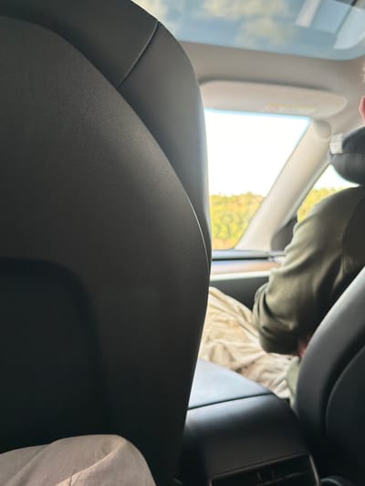 The image depicts the interior of a vehicle, viewed from the back seat. In the foreground, the textured black leather of the car seat dominates the left side of the frame. Partially visible to the right is a person wearing a green jacket and light-colored pants, seated and facing forward. Through the car's windows, a blurred landscape of green trees and a cloudy sky is visible. The environment suggests a drive through a rural or suburban area, possibly in Kungsbacka, Sweden, given the season indicated by the foliage. The image is an indoor shot of a car interior with an obscured view of the outdoors.