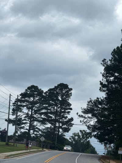 The photograph captures a street scene in Mountain Park, United States of America, under an overcast sky. A two-lane road, marked with double yellow lines, runs along the right side of the frame. A light-colored vehicle is moving on the road. On the grassy shoulder, at least two individuals are walking. The scene is framed by trees and power lines overhead. A few traffic signs are present.