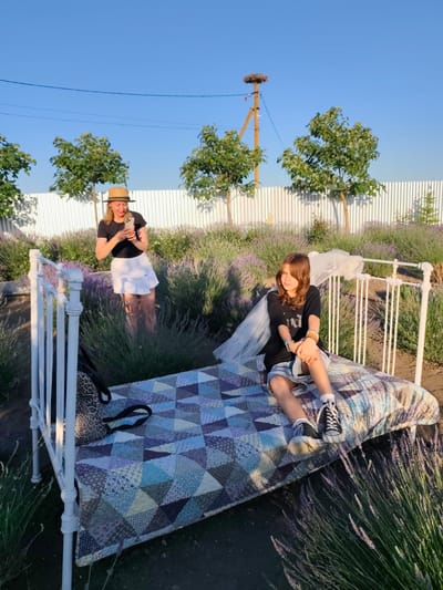 In Nechaiane, Ukraine, a woman wearing a straw hat and a white skirt stands in a lavender field, holding a smartphone and taking a photo. She is positioned behind a white metal bed frame, which is covered with a colorful patchwork quilt. To the right of the frame, a young girl with brown hair sits on the bed, wearing a black t-shirt and denim shorts. She looks towards the side with a thoughtful expression.
Behind the subjects, a white picket fence stretches across the background, with several small trees planted in front of it. In the distance, a stork's nest sits atop a utility pole. The scene is bathed in the warm, golden light of late afternoon or early evening, suggesting a pleasant, clear day. The presence of the lavender and the clear sky indicate an outdoor setting, likely a garden or a rural landscape. The overall mood appears relaxed and idyllic, with the woman engrossed in capturing the moment and the girl enjoying the tranquil surroundings. The image captures a peaceful, summery scene with a touch of whimsy provided by the bed set up in the lavender field.