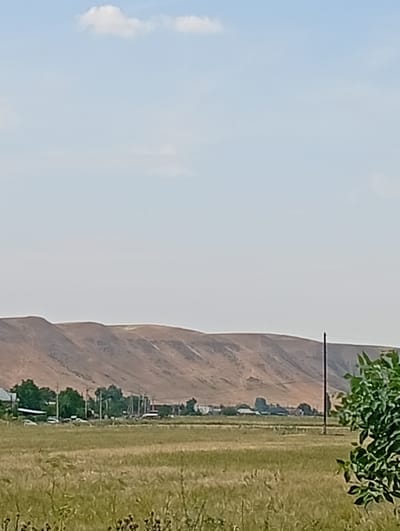 The image depicts a rural landscape with a brown, barren hillside dominating the background. A sparse cluster of buildings, likely a village, is nestled at the base of the hill, with several trees scattered amongst them. Cars are parked in front of some of the buildings. In the foreground, a field of tall, dry grass stretches out, with some darker vegetation and seed heads visible. A solitary wooden pole stands in the middle ground, and a leafy green tree branch intrudes from the right side of the frame. The sky is a pale blue with a single, small white cloud. The overall impression is one of a sunny, possibly warm day in a dry, arid region. There is no text visible in the image. The scene suggests a peaceful, everyday moment in a rural setting.