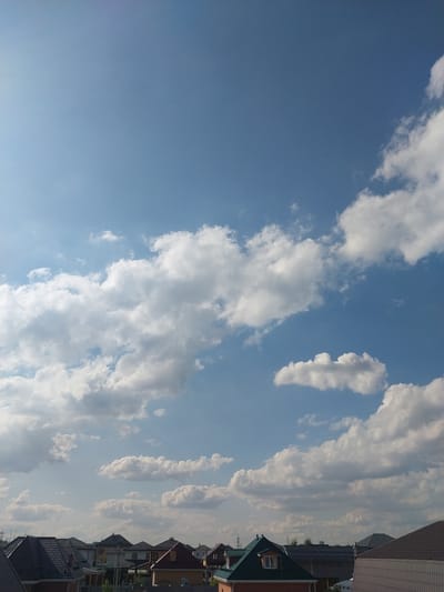 The image depicts a suburban landscape under a bright blue sky dotted with fluffy white clouds. The foreground is dominated by the roofs of several houses, varying in color and architectural style, with some featuring prominent gables and chimneys. Beyond the houses, a line of trees and some distant utility poles are visible. The overall scene suggests a clear day in a residential area. Based on the context provided, this location is identified as Nizhneye Myachkovo, Russia. There are no people or animals visible in the frame.