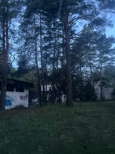 In Екатериновка, Russia, an outdoor scene at dusk features a row of tall pine trees. In the foreground, a low-slung building with a white facade is visible, partially covered with graffiti including blue abstract shapes and colorful lettering. The building appears to be in a state of disrepair, with a partially collapsed roof and debris scattered around it. Behind this structure, other buildings, also appearing abandoned and weathered, are partially obscured by the trees. The ground is covered in grass and scattered vegetation, indicative of an overgrown, semi-wild environment. The sky above is a muted twilight blue.