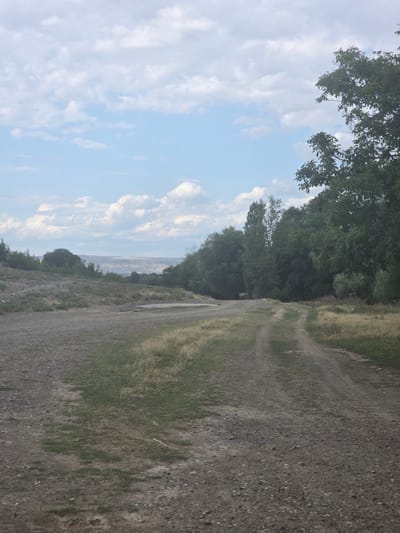A dusty dirt road curves through a sparsely vegetated landscape under a cloudy sky. The road, composed of gravel and dirt, dominates the foreground and leads towards a distant, hazy horizon. To the left of the road, the ground is uneven with patches of dry grass and scattered stones. Further back, on the left, are several bushes and trees, with a large, somewhat flat, water-filled depression visible. To the right of the road, the terrain is also covered in dry, yellowing grass, and the edge of the road is lined with taller vegetation. Beyond this, a dense line of trees forms a dark green wall, with some taller, slender trees interspersed. The sky above is a pale blue, filled with scattered, fluffy white clouds. The distant landscape appears arid and undulating, with faint outlines of hills or mountains. The image captures a rural or semi-rural setting in Kolxəlfəli, Azerbaijan, on what appears to be a temperate day. There are no people or animals visible in the image.