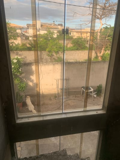The image presents an outdoor scene in Lauro De Freitas, Brazil, viewed through a large, multi-panel glass window from an interior vantage point. The foreground reveals a concrete stair landing and rough concrete steps leading downwards. The prominent glass panels are smudged and exhibit a dark vertical wire or cable.
Immediately outside the window is a dirt or unpaved yard, enclosed by a plain concrete wall. Within this yard, a light-colored dog sits on the ground with its back towards the viewer, positioned near a potted plant with white flowers. Other objects on the dirt include an overturned white plastic chair, a two-legged metal stand, and a dark hose or cable forming a loop.
Beyond the concrete wall, a dense urban environment unfolds. This background features multiple residential or commercial buildings with light-colored roofs and walls. Overhead power lines or communication cables crisscross the view. Various trees and vegetation are visible, including a prominent, large bare tree structure on the right side. A water tower is observable on the rooftop of a distant building. The sky is partly cloudy with patches of blue. The scene is illuminated by daylight, suggesting either morning or late afternoon.