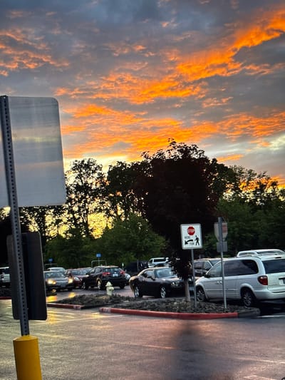 A row of parked cars stands beside a curb and trees, under a sky streaked with vibrant orange sunset clouds. A sign with a "Stop Here for" message and an illustration of a person and dog is visible. A fire hydrant is among the cars, and road markings reflect the ambient light. Another road sign with gray stripes is in the foreground.