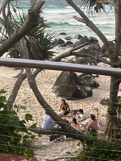 The image captures a sunlit beach scene in Coolangatta, Australia, viewed from an elevated perspective with a metal railing and green foliage partially framing the foreground. The ocean, with its turquoise waters and gentle white-capped waves, dominates the left side of the frame, meeting a sandy beach interspersed with large, dark rocks.
On the bright sand, a group of several people is engaged in a casual gathering or picnic. At least six to seven individuals are visible, some partially obscured by trees and the foreground elements. They are seated or kneeling on blankets, with various personal items, food containers, and drinks scattered around them. One person in a red and white striped shirt is seen reaching out, while another in a black bikini top is visible closer to the foreground.
The beach is adorned with the prominent, gnarled trunks and spiky leaves of tropical trees, likely Pandanus, which frame the scene and provide natural shade. The bright lighting indicates it is daytime, under clear and sunny weather. The overall atmosphere appears relaxed and social. No discernible text is visible in the image.