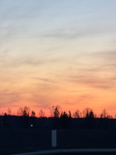 The image depicts a sunset or sunrise, showing a gradient of colors in the sky from pale grey to orange and red. A line of trees is silhouetted against the colorful sky. In the foreground and to the right, there is a dark area, likely an object or structure close to the camera. The scene appears to be outdoors, and the lighting suggests it is either early morning or late evening. The exact location is not discernible from the image alone. Therefore, I am unable to provide the precise location within the city of Kuregovo, Russia.