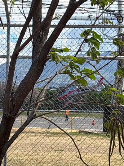 The image displays an outdoor scene, likely an airfield or helipad, located in San José, Costa Rica, viewed through a foreground chain-link fence topped with barbed wire. Branches and green foliage from a tree partially obstruct the view. In the midground, a silver or light grey helicopter with red stripe accents on its tail boom and vertical stabilizer is parked on a paved tarmac surface. One individual, wearing an orange high-visibility vest and dark attire, stands on the tarmac to the left of the helicopter, partially facing away from the viewer. Yellow ground markers and a single orange traffic cone are also visible on the paved surface. The immediate foreground features dry, light-colored ground. In the background, distant mountains are visible under a partly cloudy sky, with urban development discernible at their base.