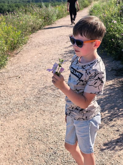A young boy with short brown hair, wearing blue and orange sunglasses, a light-colored t-shirt with a black marble-like pattern and the words "NO LIMITS" in a black rectangle, and light-wash denim shorts, stands on a dirt path outdoors. He is holding a small bunch of purple flowers in his right hand. In the background, a person in a black t-shirt and pants walks away from the camera on the same path. The path is lined with green foliage and small pink and yellow wildflowers, suggesting a rural or natural environment. The lighting indicates it is daytime, with shadows cast on the path. The location is identified as the city of Shikhan, Russia.