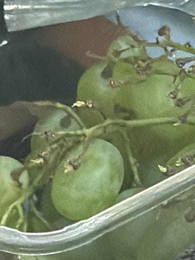 The image is a close-up, low-angle shot of green grapes in a clear plastic container. The grapes are clustered together, with some of the stems and a few small brown spots visible on their surfaces. The background is dark and out of focus, with hints of brown and gray. The lighting appears to be natural, possibly from overhead. The container's rim is visible in the foreground, reflecting some light. The scene is indoors, likely in a home kitchen or grocery store. The image is grainy and lacks sharp detail, suggesting it was taken with a lower-resolution camera or in low light conditions. There are no people, animals, or any specific landmarks visible that would indicate a location in Kungälv, Sweden.