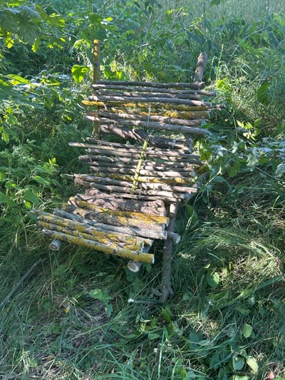 This media file depicts a rustic fence constructed from natural wood branches, partially overgrown with moss and lichen. The fence is situated outdoors, amidst lush green grass and various types of vegetation. The scene suggests a natural, possibly rural setting. The lighting indicates it is daytime, with sunlight casting shadows and highlighting the texture of the wood and foliage. There is no visible text or indication of specific activities or events taking place, nor any people. The image provides a close-up view of the fence and its immediate surroundings, emphasizing the natural textures and organic elements of the scene. The location context provided is Velykyi Trostianets, Ukraine.