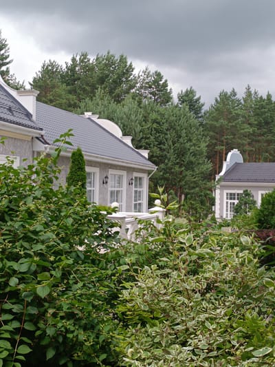 The image depicts a section of a residential area with two houses visible, set against a backdrop of dense pine trees under an overcast sky. The architecture of the houses features dark gray tiled roofs with white trim and decorative elements. The house on the left has light gray stucco siding and multiple windows. In front of the houses, a variety of green foliage is prominent, with lush bushes in the foreground, partially obscuring the lower sections of the buildings. The environment appears to be a suburban or rural setting within Старобінскі сельскі Савет, Belarus, characterized by well-maintained houses and abundant greenery. There are no people or animals visible in the frame.